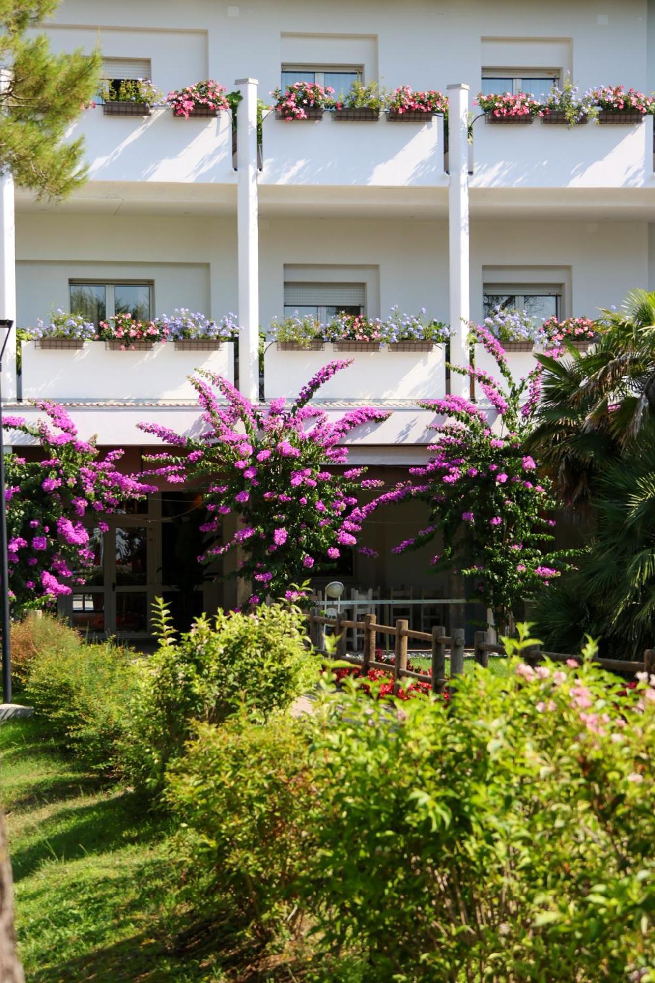 Il Tridente Hotel ビビオーネ エクステリア 写真